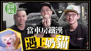 2個月幼貓困車頭險餓死 車房佬合力救貓變廿四孝貓奴  #動物蘋台－果籽 香港 Apple Daily—原刊日期：20200923