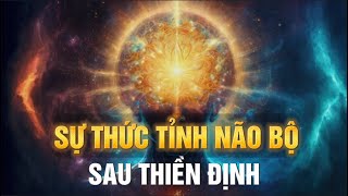 Kinh Ngạc - Sự Thay Đổi Diệu Kỳ của Não Bộ sau Thiền Định