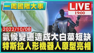 【1900一周國際大事】氣候變遷造成大白菜短缺　特斯拉人形機器人原型亮相