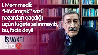 İ. Məmmədli:“Hörümçək” sözü nəzərdən qaçdığı üçün lüğətə salınmayıb, bu, faciə deyil – İş vaxtı