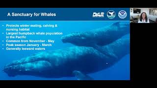 January 2023, Where and What is the Hawaiian Islands Humpback Whale National Marine Sanctuary