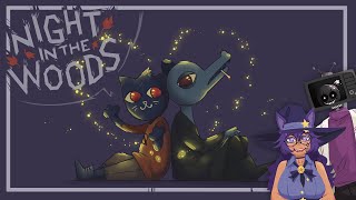 Library Trip - Night in the woods