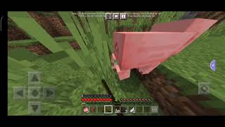 10 Napos minecraft