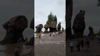 Day 8-Hopewell Rocks. நாள் 8- ஹோப்வெல் பாறைகள். #travel #rocks #motorcycle #mentalhealth #foryou