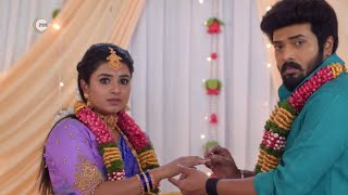 Karthigai Deepam Serial Tomorrow Promo Review | Prems Review