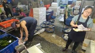 #坎仔頂 Much shrimp in auction 白蝦瞬殺等級 #seafood #fishmarket