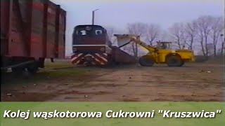 Kolej wąskotorowa Cukrowni w Kruszwicy - 2001 rok