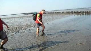 090919 Wadlopen Ameland 02 1e water