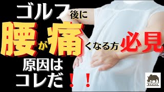 【腰痛】ゴルフ後に腰が痛くなる方必見です（原因はコレ！）bexise ベグサイズ　LEXCObodywork  レクスコボディーワーク