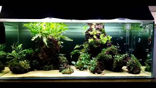 Nuvo30L Buce Scape