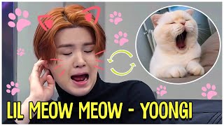 When Yoongi Turns Into Lil Meow Meow