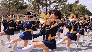 第15回京都さくらパレード 2016 まとめて30組:Kyoto Sakura Parade