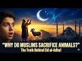 Why Muslims Sacrifice Animals on Eid al-Adha? The Real Meaning Explained