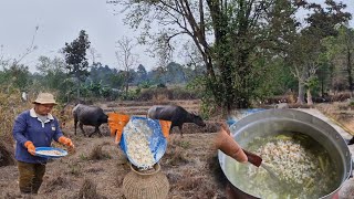 ยายเกตุหาแหย่ไข่มดแดงกับลูกสาวมาแกงใส่หน่อไม้สูตร์บ้านๆกินผ่าเที่ยงแซบหลายจ้า 19/มีค/67