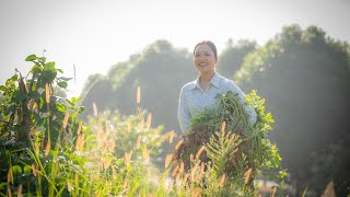 [XiaoRong] Harvest peanuts, make a table of good dishes for grandma to eat