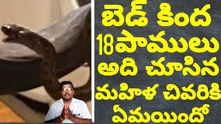 బెడ్ కింద 18పాములు అది చూసిన మహిళ చివరికి ఏమయిందో చూడండీ|18 snakes under the bed The woman who saw