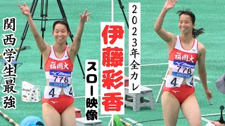 【伊藤彩香】2023年全日本インカレ女子100mH予選3組！関西学生最強！次期学生覇者候補か！？