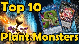 Top 10 Plant Type Monsters in YuGiOh