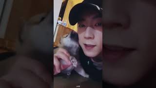 211017 밤8시14분 한댄서 인라(with 로미와 새끼들)