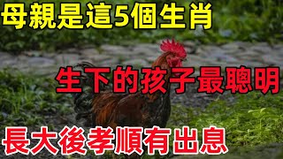 母親是這5個生肖，生下的孩子最聰明，長大後孝順有出息！#民間俗語#中國文化#國學#國學智慧#佛學知識#人生感悟#人生哲理#佛教故事