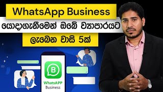 ඔබේ ව්‍යාපාරයට WhatsApp Business යොදා ගැනීමෙන් ලැබෙන වාසි 5ක් | Loku Business