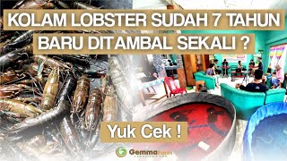 Tips Cara Menambal Kolam Terpal Agar Awet Bertahun-Tahun ❗❗| Kolam Lobster Air Tawar Jadi Tahan Lama