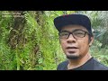 JERAT AYAM HUTAN - Episod #10 - KESILAPAN PASANG JERAT AYAM BAGI PEMULA