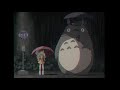 Massimo Pericolo - Totoro