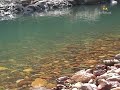 bandi erusu waterfalls at tirumala tirupati looking beautiful