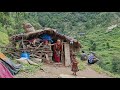 Most Peaceful And Relaxing Mountain Village Life of Nepal | Hari Rokaya Village Life of Nepal | Rain