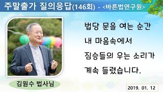 [김원수법사님의 질의응답] 146회-법당 문을 여는 순간 내 마음속에서 짐승들의 우는 소리가 계속 들렸습니다.