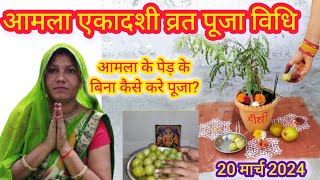 आमला एकादशी व्रत सरल पूजा विधि ||Aamla ekadshi vrat pooja vidhi 2024.......