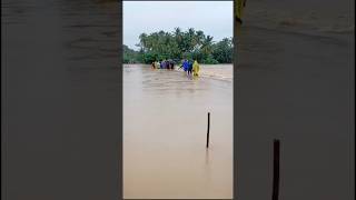 എന്റെ നാട്ടിൽ വീണ്ടും വെള്ളം കയറി 😥😥🌧️🌧️#uniquedreamwithangel #shorts #trending puthucode #palakkad