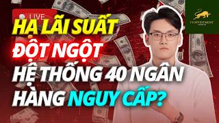 Hệ thống 40 ngân hàng nguy cấp - lãi suất hạ đột ngột | Chứng Khoán Hôm Nay