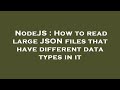 NodeJS : How to read large JSON files that have different data types in it