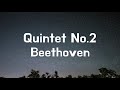 베토벤 피아노와 관악을 위한 5중주 beethoven horn quintet op.16