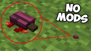 23 Unfamiliar Things in Minecraft You Did Not Notice