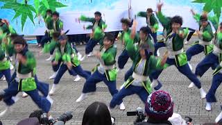 中京大学 晴地舞　2017四日市よさこい11/26(日)　市民公園会場