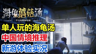 【新游试玩】一个人玩的海龟汤！Steam【海龟蘑菇汤】中国文字情境推理直播实况