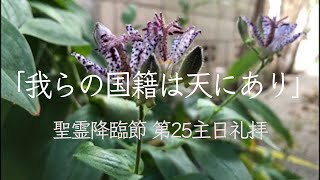 目白町教会礼拝2024年11月3日「我らの国籍は天にあり」土肥研一牧師