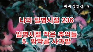 나의 일병시절 236- 일병시절 작은 추억들 5 밖막골 사과밭 (2사단, 노도부대, 32연대, 스키대대, 양구, 구암리, 소양호, 군대이야기, 군복무담,)