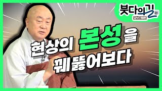 우리가 보고 맛보고 느끼는 것이 실제인가? 우리 사는 세상 현상들의 본질을 봐야 한다. [진옥스님의 붓다의 길 입보리행론 87회]