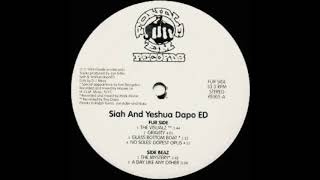 The Visualz / Siah And Yeshua Dapo ED