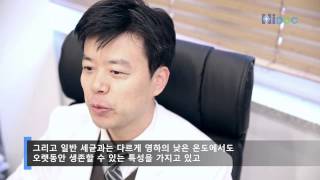 겨울철 식중독의 주요원인, 노로 바이러스!