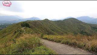 華山軍路 虎地坳 杉山 華山 松山 坪輋 Wa Shan Military Road Fu Tei Au Cham Shan Wa Shan Tsung Shan Ping Che Road