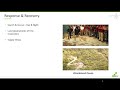 webinar drones for disaster management