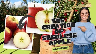 How Science Unleashed the Seedless Apple | A Tale of Genetic Modification and Orchard Transformation