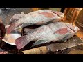 Amazing Cutting Skills | Big Tilapia Cleaning & Chopping By Expert Fish Cutter