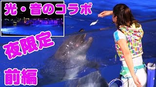 【夜限定】音・光・テクノロジーのコラボ イルカショー［前編］ 京都水族館 デートにお勧め