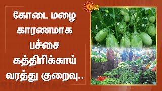 கோடை மழை காரணமாக பச்சை கத்திரிக்காய் வரத்து குறைவு.. | Dindigul | Sun News